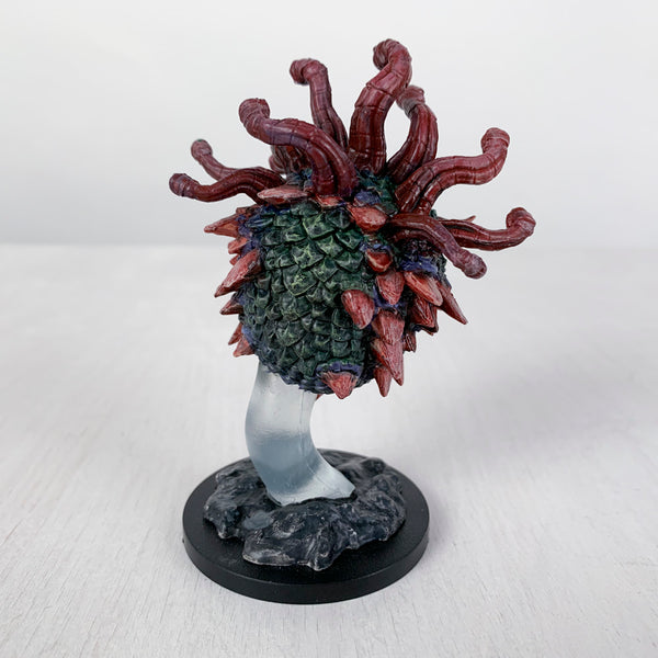 Okulo the Beholder