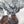 Load image into Gallery viewer, Ash the Hell Hound