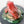 Load image into Gallery viewer, Hektor the Frog