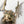 Load image into Gallery viewer, Snitch The Giftmaker's Drone