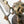 Load image into Gallery viewer, Snitch The Giftmaker's Drone