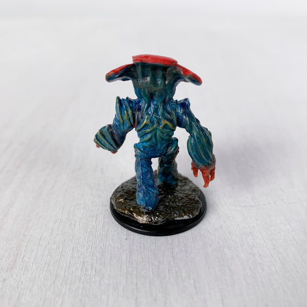 Hedge the Myconid
