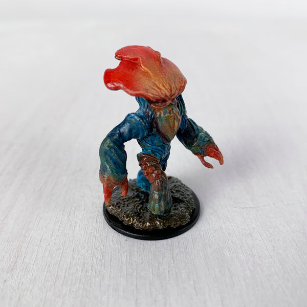 Hedge the Myconid