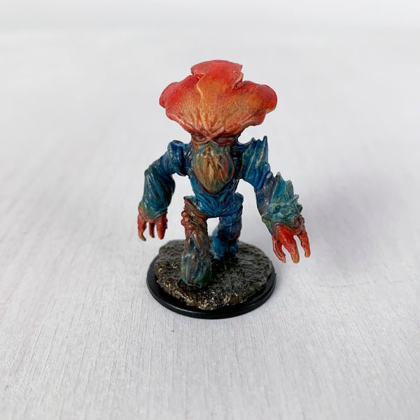 Hedge the Myconid