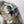 Load image into Gallery viewer, Beaky the Owlbear