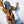 Load image into Gallery viewer, Suhir Zaman