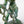 Load image into Gallery viewer, Helga the Sea Hag