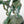 Load image into Gallery viewer, Helga the Sea Hag