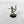 Load image into Gallery viewer, Skeleton Archer