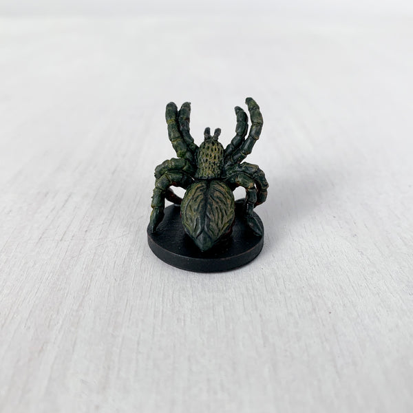 Roslyn the Spider