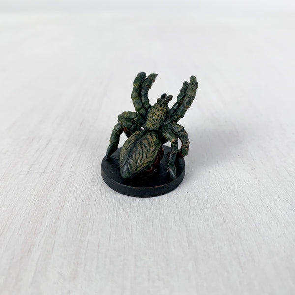 Roslyn the Spider