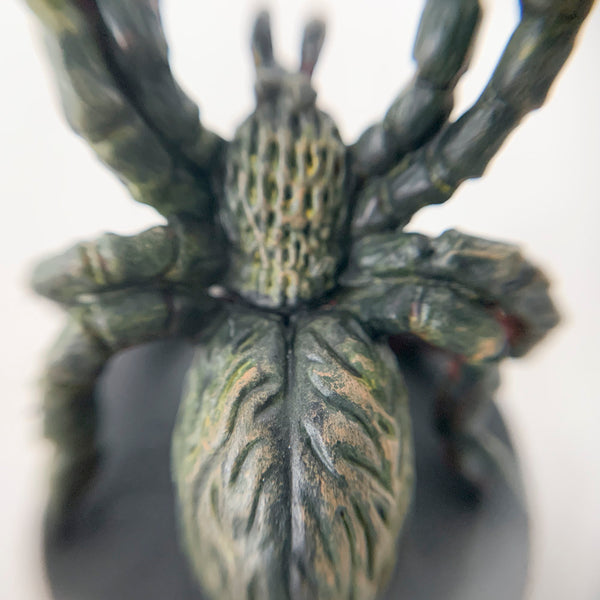 Roslyn the Spider