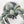 Load image into Gallery viewer, Roslyn the Spider