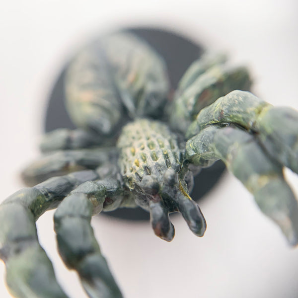 Roslyn the Spider