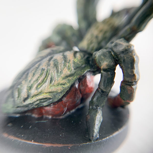 Roslyn the Spider