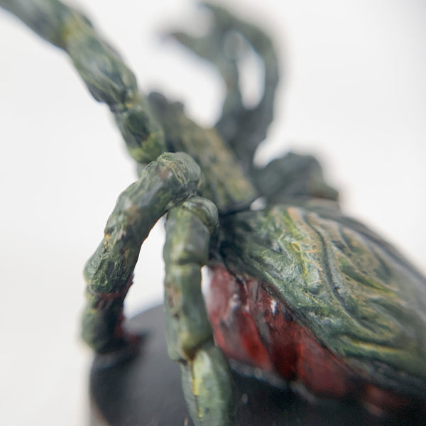 Roslyn the Spider
