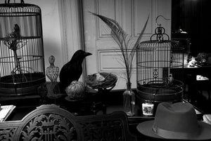 Photography by Lauren Bilanko ©2006 - 2022 Studio Bilanko. All rights reserved.