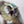 Load image into Gallery viewer, Beaky the Owlbear
